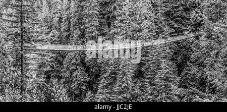 Famoso Ponte Sospeso di Capilano in Canada - Il Capilano - CANADA - Aprile 12, 2017 Foto Stock