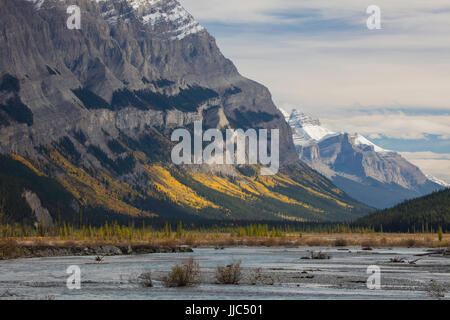 Autunno a colori lungo il Nord del Fiume Saskatchewan, il Parco Nazionale di Banff, Alberta, Canada Foto Stock