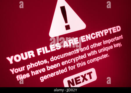 Ransomware - Close up dei file sono crittografati sullo schermo Foto Stock