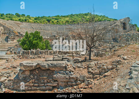 Il grande anfiteatro rovine con il vecchio albero secco davanti sulla giornata di sole in Efeso in Turchia Foto Stock