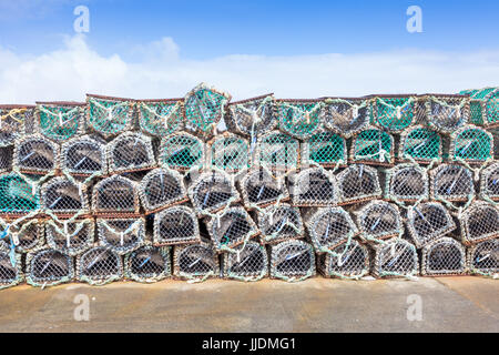 Aragosta bicchieri impilati su una banchina, Orkney REGNO UNITO Foto Stock