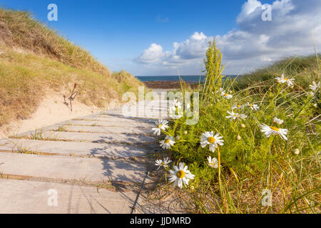 Il Boardwalk su una spiaggia deserta di Orkney, Scozia UK sabbia Foto Stock