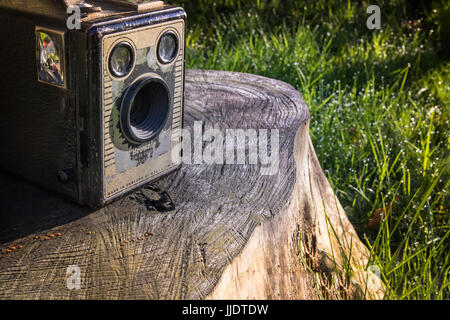 Brownie fotocamera impostata sul ceppo di albero Foto Stock