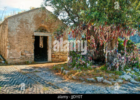 Xii secolo la chiesa bizantina con un bellissimo mosaico di pietra sul pavimento e il grande, vecchio Olivo legato con pezzi di stoffa colorata su di essa il Camellia ho Foto Stock