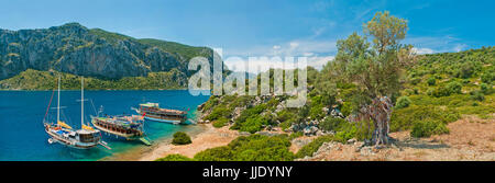 Tre imbarcazioni turistiche ormeggiata in laguna blu a Camellia isola nel mare Egeo con vecchio olivo con colorati pezzi di stoffa legato su di esso, Marmaris, Tu Foto Stock