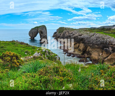 Fioritura estiva costa atlantica. l isolotto noto come castro de las gaviotas (ASTURIAS, Spagna). due colpi stitch immagine. Foto Stock