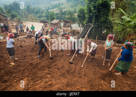 Robert Hahn aiuta la gente del posto di grado a piattaforma piana per una nuova casa in Ban Phak Kung, Laos. Foto Stock