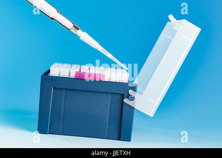 Le punte della pipetta nel rack, una pipetta o una pipetta è uno strumento di laboratorio utilizzati per la chimica, la biologia e medicina per il trasporto e misurare liquido Foto Stock