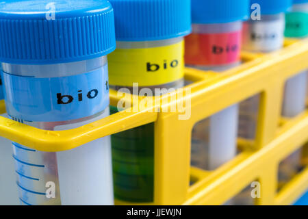 Centrifugare provette con campioni bio per test microbica Foto Stock