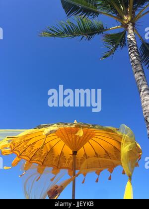 Ombrellone e palme contro il cielo blu, Bali, Indonesia Foto Stock