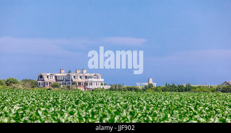 Grande casa estiva Sagaponack confinanti con un campo di grano in Sagaponack ny Foto Stock