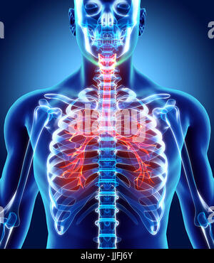 3D illustrazione della laringe Trachea Bronchi parte del sistema respiratorio. Foto Stock