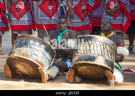 Chiudere i percussionisti mantenga il villaggio culturale dello Swaziland Africa meridionale Foto Stock