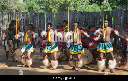 Quattro uomini di eseguire la tradizionale danza mantenga il villaggio culturale dello Swaziland Africa meridionale Foto Stock