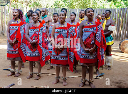 Le donne e gli uomini di canto tribale mantenga il villaggio culturale dello Swaziland Africa meridionale Foto Stock