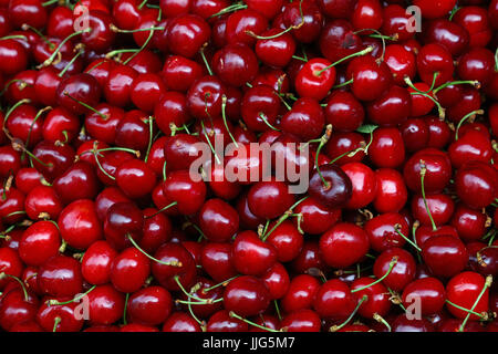 Cumulo di rossi freschi dolci mature amarena bacche sul mercato retail display di stallo, vicino ad alto angolo di visione Foto Stock