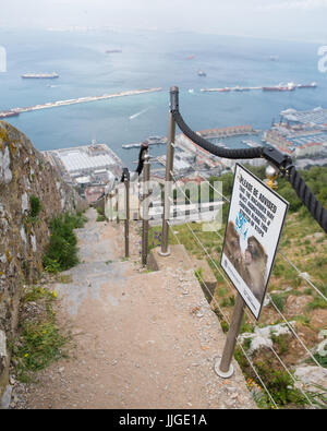 Punto di vista dalla sommità della roccia, guardando in giù per una scalinata con segno attenzione ai visitatori della wild barbary macachi, roccia, Gibilterra Foto Stock