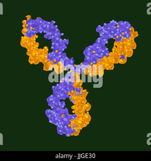 Rappresentazione grafica della scienza medica anticorpo isolato sullo sfondo Foto Stock