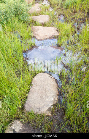 Idrossido di ferro bog ferro galleggiante olio sulla parte superiore del terreno bagnato in Loch Lomond e il Trossachs National Park, Scotland, Regno Unito Foto Stock