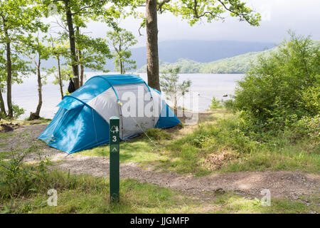 Baia Sallochy woodland campeggio, Loch Lomond Scozia, Regno Unito Foto Stock