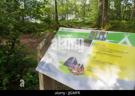 Baia Sallochy woodland campeggio, Loch Lomond Scozia, Regno Unito Foto Stock