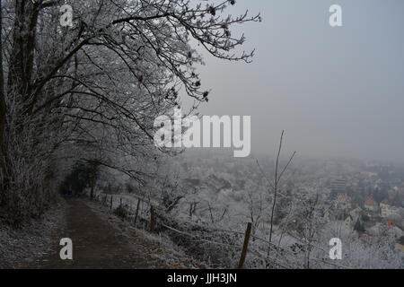 Frozen path- Freiburg/Germany Foto Stock