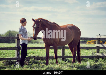 Una giovane donna con il suo cavallo in un paddock. Foto Stock