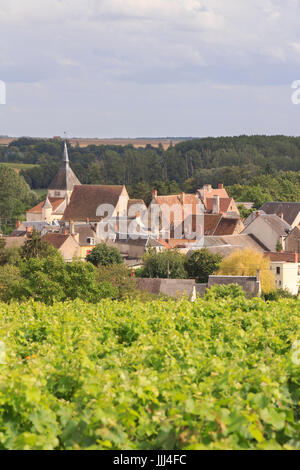 Francia, Indre (36), Reuilly, vue du village et de son vignoble (AOC Reuilly) // Francia, Indre, Reuilly, il villaggio e la vigna Foto Stock