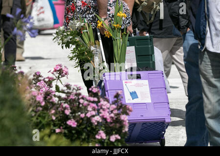 RHS Tatton Park Flower Show, Knutsford, Cheshire. Il 20 luglio 2017. Giorno due di questo anni floral masterclass presso il Royal Horticultural Society's Tatton Park Flower Show 2017. Giardinieri appassionati possono immergersi nella bellezza, il profumo ed il colore del rettangolo di selezione floreale & Pianta Village. Una nuova aggiunta ai giardini spettacolari sul display è il 'Butterfly Dome' dove gli ospiti possono passeggiare attraverso il paradiso tropicale riempito con farfalle esotiche. Credito: Cernan Elias/Alamy Live News Foto Stock