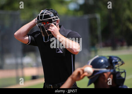 Lakeland, Florida, Stati Uniti d'America. 5 Luglio, 2017. Sarà VRAGOVIC | Orari.arbitro Taylor Payne, 24, tira su la sua maschera per avviare la Gulf Coast League tra i New York Yankees e Detroit Tigers presso il complesso Tigertown in Lakeland, Fla. Mercoledì, 5 luglio 2017. Credito: Sarà Vragovic/Tampa Bay volte/ZUMA filo/Alamy Live News Foto Stock