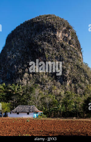 Formazione carsica torre al di sopra di una fattoria appena fuori Vinales National Park - VINALES, PINAR DEL RIO, CUBA Foto Stock