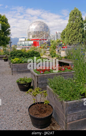 Comunità collaborativa giardino presso il Villaggio su False Creek e TELUS mondo della scienza cupola, Vancouver, British Columbia, Canada Foto Stock