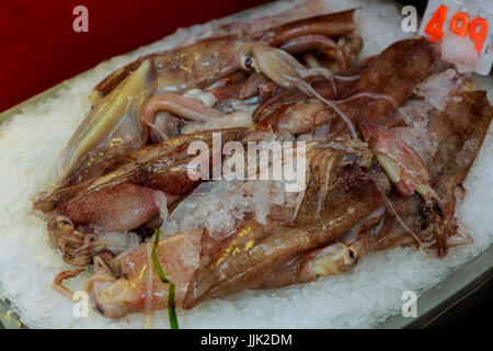 Calamari su ghiaccio sugli scaffali del negozio - calamari freschi sul mercato del pesce Foto Stock