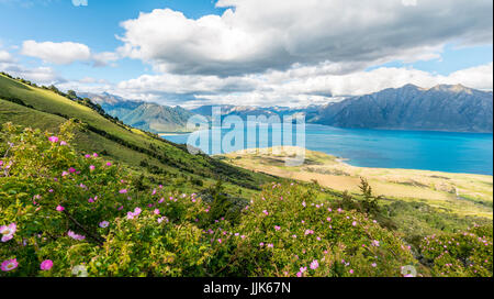 Vista del lago nel paesaggio di montagna, lago Hawea, Otago, Isola del Sud, Nuova Zelanda Foto Stock