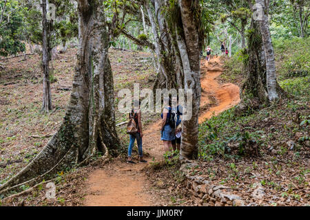 Gli escursionisti sul sentiero per SALTO DE CABURNI trova il Topes de Collantes nelle montagne della Sierra del Escambray - CUBA Foto Stock