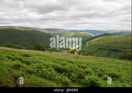 La vista del paesaggio da passare a ferro di cavallo sulla A542 road vicino a Llangollen in Galles Foto Stock
