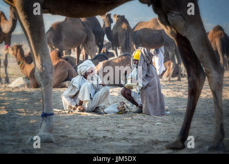 Due uomini avente una pausa a Pushkar Mela camel fair, Pushkar, Rajasthan, India Foto Stock
