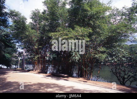 Parco Taquaral; Campinas; Sao Paulo, Brasile Foto Stock