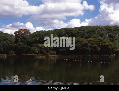 Parco Taquaral; Campinas; Sao Paulo, Brasile Foto Stock