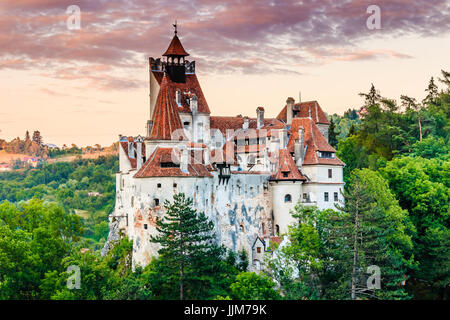 Brasov, in Transilvania. La Romania. Il castello medievale di crusca, noto per la leggenda di Dracula. Foto Stock