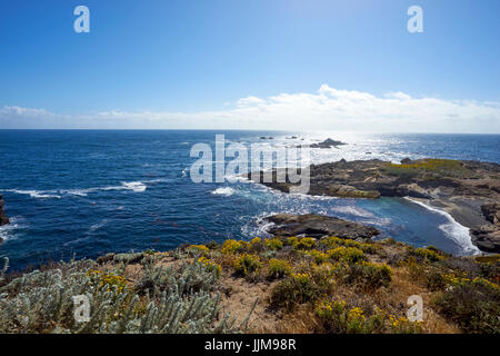 Cornice di fiori di campo questa vista da sopra una baia verso ovest nel misty strato marina dell'Oceano Pacifico Foto Stock