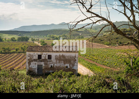 Vigneti con village Navarrete in background, La Rioja, Spagna. Camino de Santiago. Foto Stock