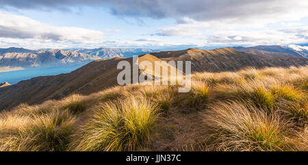 Montagna cresta, ricoperta da erba, lago circondato da montagne, il lago Hawea, vista da un istmo di picco, Otago, Isola del Sud Foto Stock