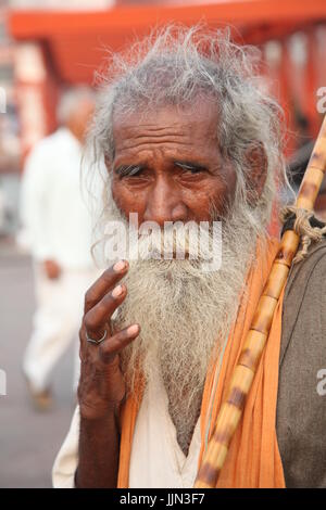 Indiano Baba, Swami, Sadhu, Santo e Pilgrim, Sadhu di fronte al tempio di Haridwar, Uttrakhand, India (Copyright © Saji Maramon) Foto Stock