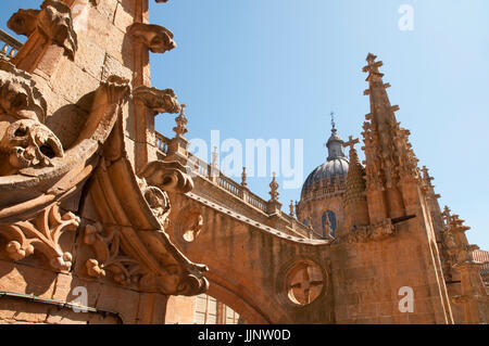 La vista dalla terrazza della nuova Cattedrale. Salamanca Castiglia e Leon, Spagna. Foto Stock