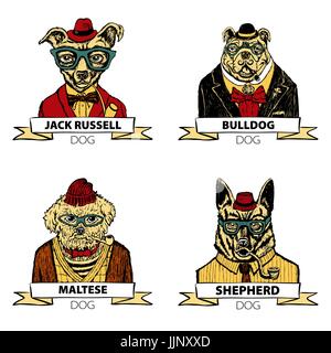 Tanga set animali cane, grande gruppo di razze di cani, vettore isolato arte Illustrazione Vettoriale