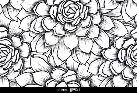 Succulento seamless pattern echeveria cactus print design splendido fiore foglia, nero disegno lineare alla moda di piastrella vettore illustrazione ornamentali isolat Illustrazione Vettoriale