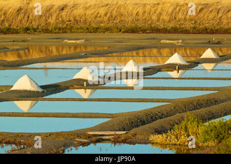Saline e pile di 'Fleur de Sel' intorno il Fier d Ars paludi dell'occidente. Ars en Ré; Ile de Ré; Charente-Maritime; Francia Foto Stock