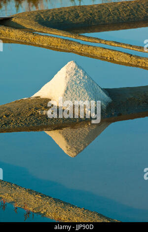 Saline e pile di 'Fleur de Sel' intorno il Fier d Ars paludi dell'occidente. Ars en Ré; Ile de Ré; Charente-Maritime; Francia Foto Stock