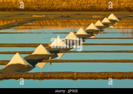 Saline e pile di 'Fleur de Sel' intorno il Fier d Ars paludi dell'occidente. Ars en Ré; Ile de Ré; Charente-Maritime; Francia Foto Stock